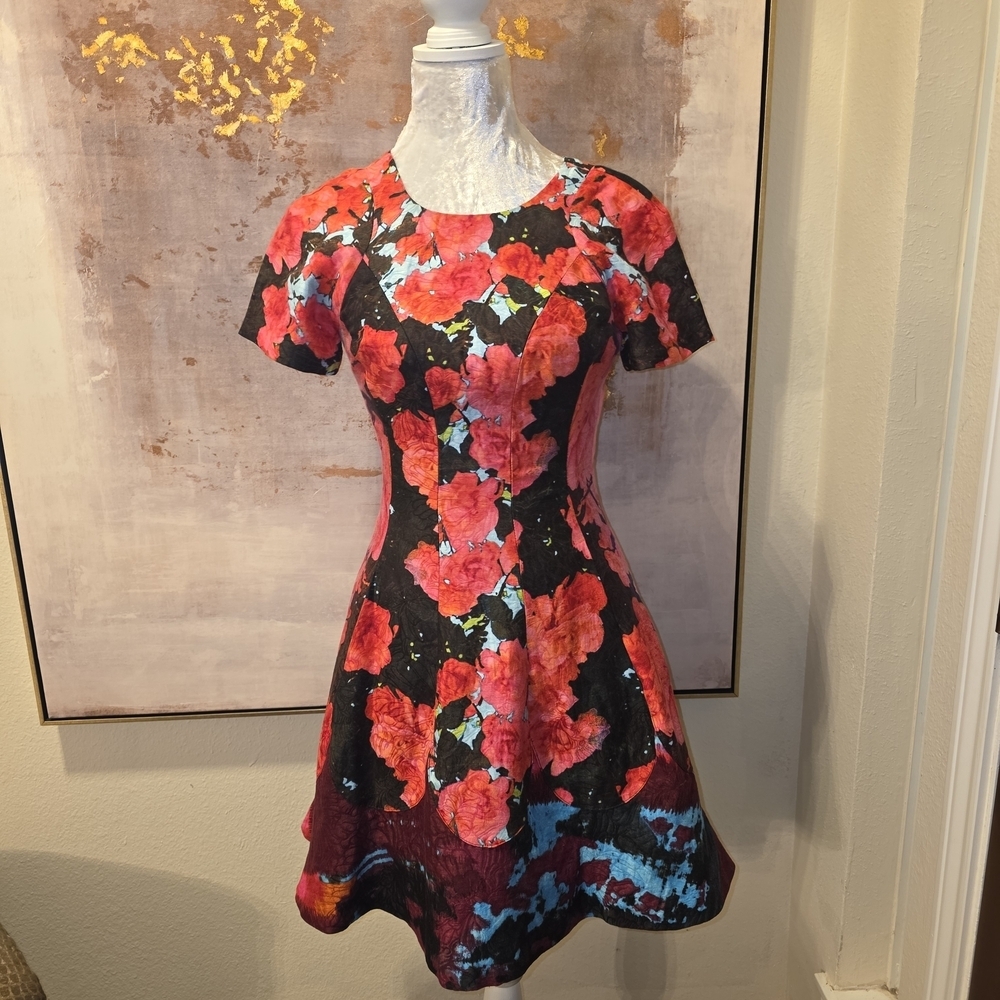 Plenty by Tracy Reese Red and Blue Floral Mini Dress